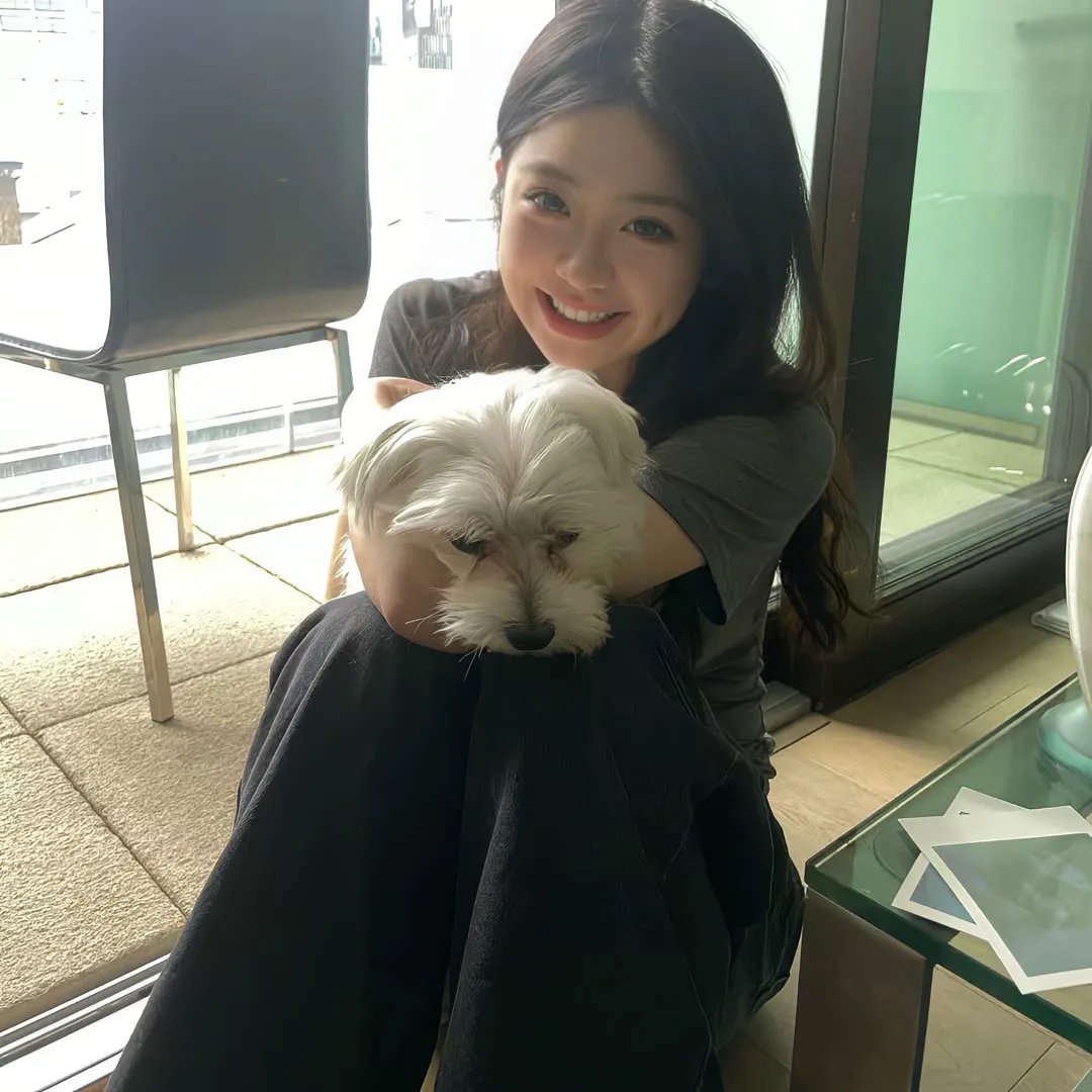 猎豹行动